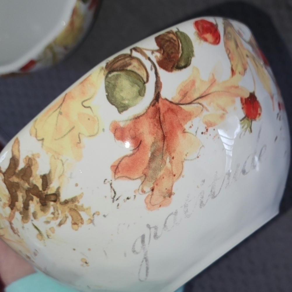 NWOT Set of 4 Harvest Bowls